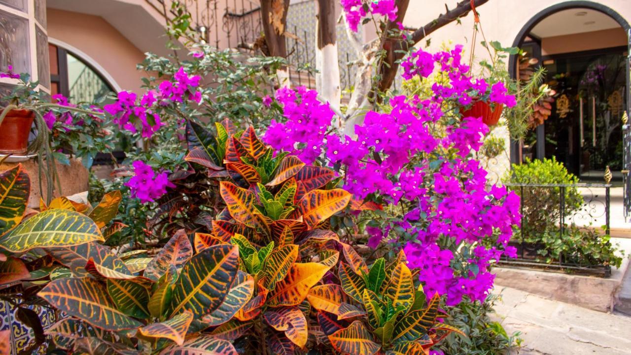 Hotel Mansion Mijashe Wellness & Travel House Morelia Exterior foto